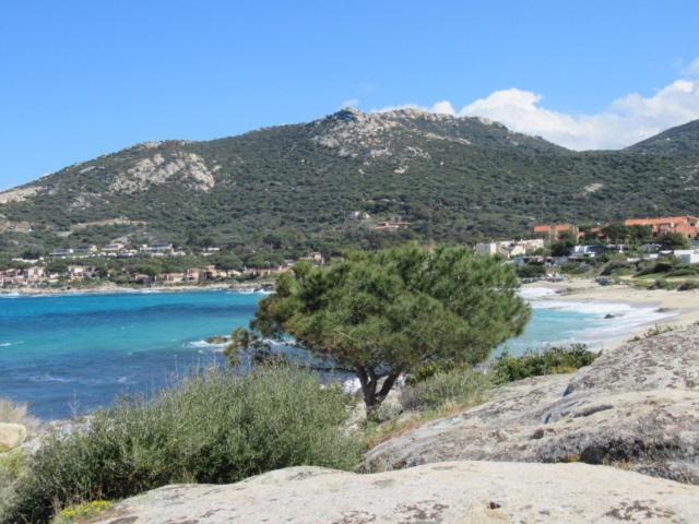T2 Renove 100M Plage Avec Spa Privatif Entre Calvi Et Ile Rousse 루미오 외부 사진